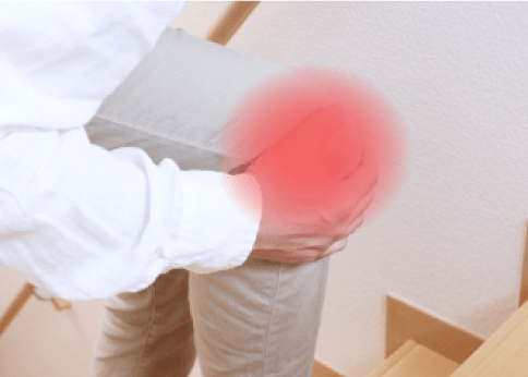 股関節・膝関節